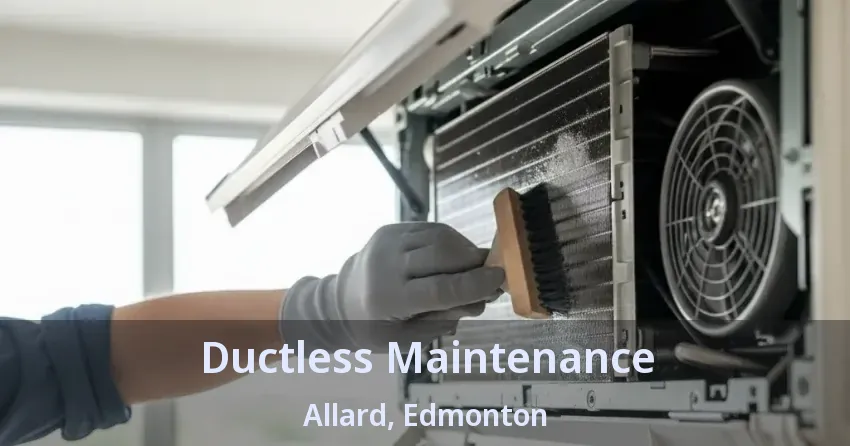 Ductless Maintenance Allard, Edmonton - AB Ductless Maintenance Allard, Edmonton - AB
