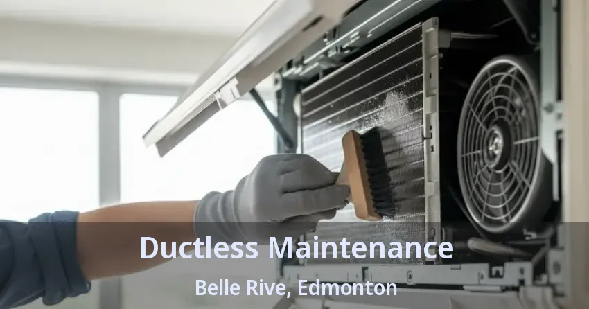 Ductless Maintenance Belle Rive, Edmonton - AB Ductless Maintenance Belle Rive, Edmonton - AB