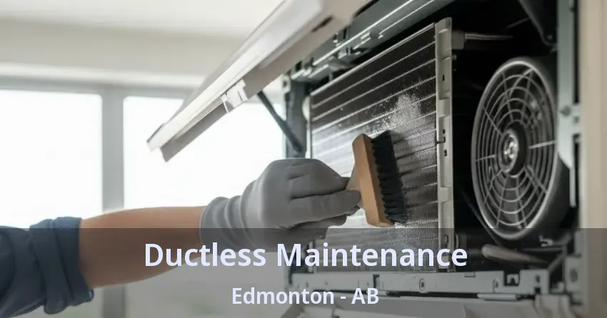 Ductless Maintenance Edmonton - AB Ductless Maintenance Edmonton - AB