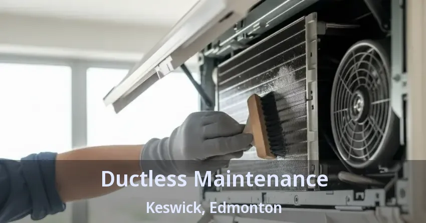 Ductless Maintenance Keswick, Edmonton - AB Ductless Maintenance Keswick, Edmonton - AB