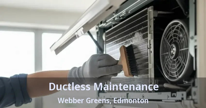 Ductless Maintenance Webber Greens, Edmonton - AB Ductless Maintenance Webber Greens, Edmonton - AB