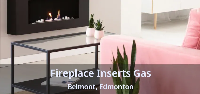 Fireplace Inserts Gas Belmont, Edmonton - AB Fireplace Inserts Gas Belmont, Edmonton - AB