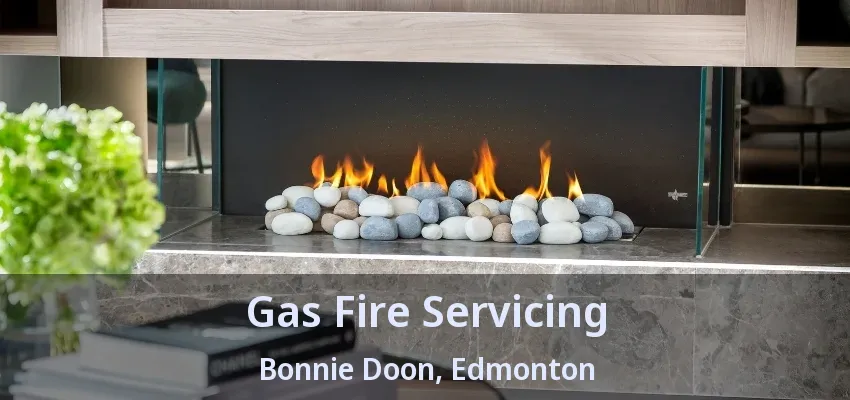 Gas Fire Servicing Bonnie Doon, Edmonton - AB Gas Fire Servicing Bonnie Doon, Edmonton - AB