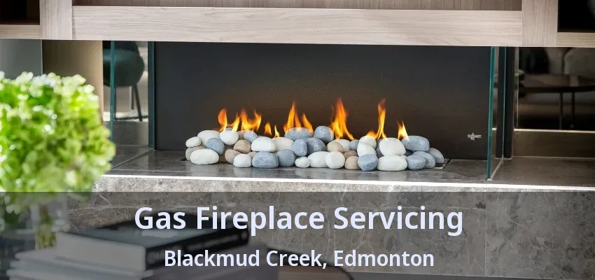 Gas Fireplace Servicing Blackmud Creek, Edmonton - AB Gas Fireplace Servicing Blackmud Creek, Edmonton - AB