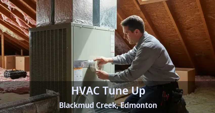 HVAC Tune Up Blackmud Creek, Edmonton - AB HVAC Tune Up Blackmud Creek, Edmonton - AB
