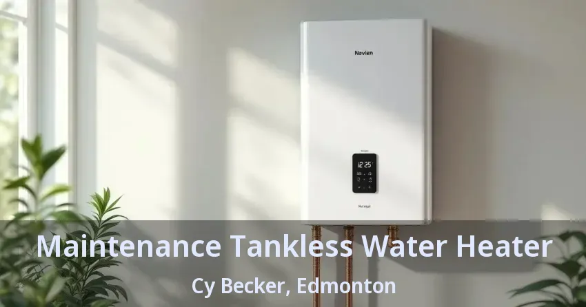 Maintenance Tankless Water Heater Cy Becker, Edmonton - AB Maintenance Tankless Water Heater Cy Becker, Edmonton - AB