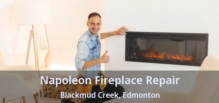 Napoleon Fireplace Repair Blackmud Creek, Edmonton - AB Napoleon Fireplace Repair Blackmud Creek, Edmonton - AB