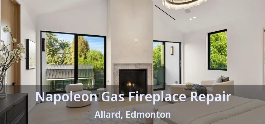 Napoleon Gas Fireplace Repair Allard, Edmonton - AB