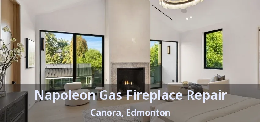 Napoleon Gas Fireplace Repair Canora, Edmonton - AB Napoleon Gas Fireplace Repair Canora, Edmonton - AB