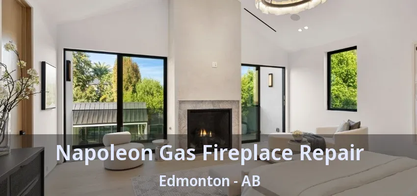 Napoleon Gas Fireplace Repair Edmonton - AB Napoleon Gas Fireplace Repair Edmonton - AB