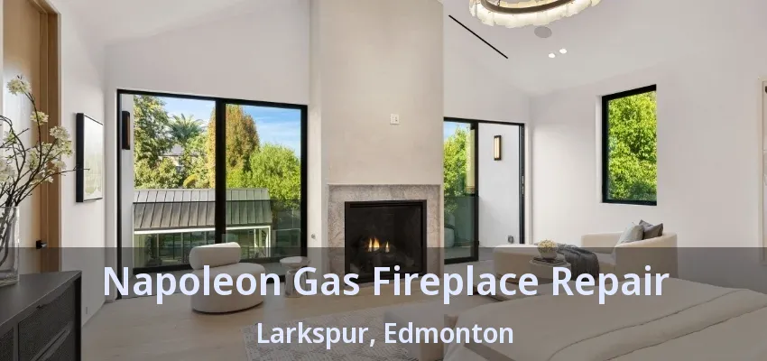 Napoleon Gas Fireplace Repair Larkspur, Edmonton - AB Napoleon Gas Fireplace Repair Larkspur, Edmonton - AB
