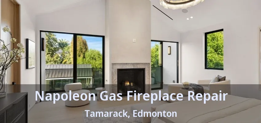 Napoleon Gas Fireplace Repair Tamarack, Edmonton - AB Napoleon Gas Fireplace Repair Tamarack, Edmonton - AB
