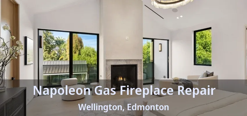 Napoleon Gas Fireplace Repair Wellington, Edmonton - AB Napoleon Gas Fireplace Repair Wellington, Edmonton - AB