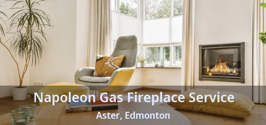 Napoleon Gas Fireplace Service Aster, Edmonton - AB Napoleon Gas Fireplace Service Aster, Edmonton - AB