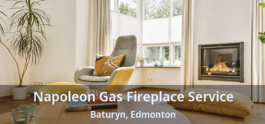 Napoleon Gas Fireplace Service Baturyn, Edmonton - AB Napoleon Gas Fireplace Service Baturyn, Edmonton - AB