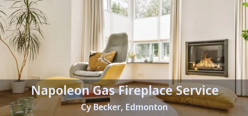 Napoleon Gas Fireplace Service Cy Becker, Edmonton - AB Napoleon Gas Fireplace Service Cy Becker, Edmonton - AB