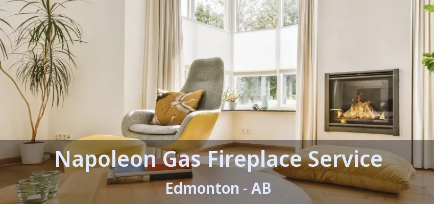 Napoleon Gas Fireplace Service Edmonton - AB Napoleon Gas Fireplace Service Edmonton - AB