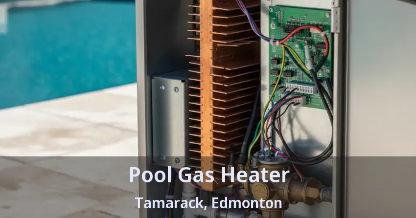 Pool Gas Heater Tamarack, Edmonton - AB Pool Gas Heater Tamarack, Edmonton - AB