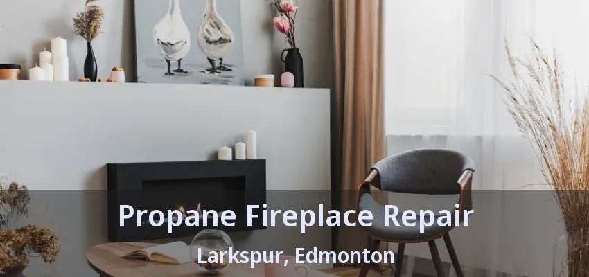 Propane Fireplace Repair Larkspur, Edmonton - AB Propane Fireplace Repair Larkspur, Edmonton - AB