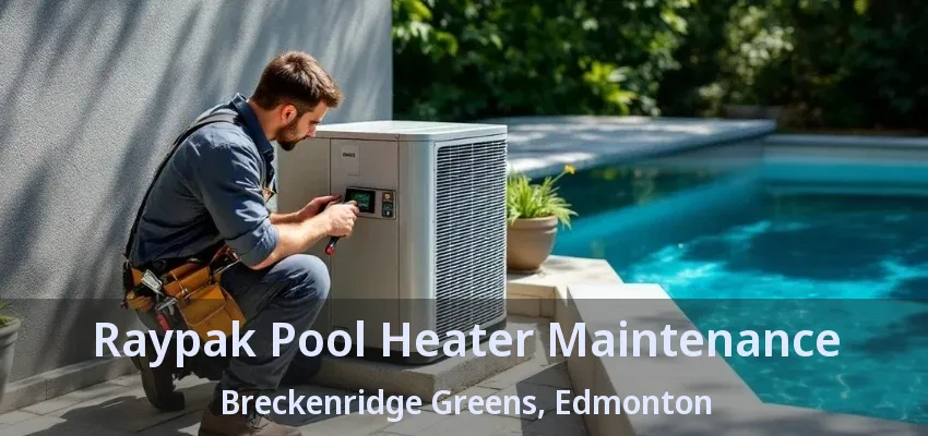 Raypak Pool Heater Maintenance Breckenridge Greens, Edmonton - AB Raypak Pool Heater Maintenance Breckenridge Greens, Edmonton - AB