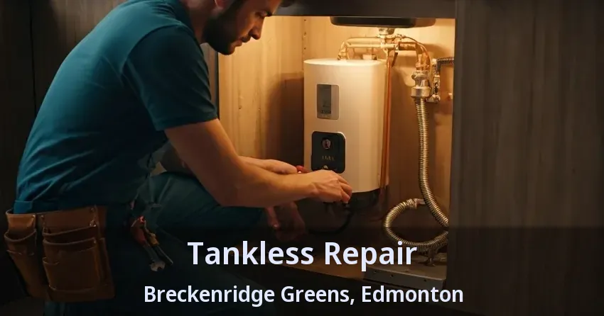Tankless Repair Breckenridge Greens, Edmonton - AB Tankless Repair Breckenridge Greens, Edmonton - AB