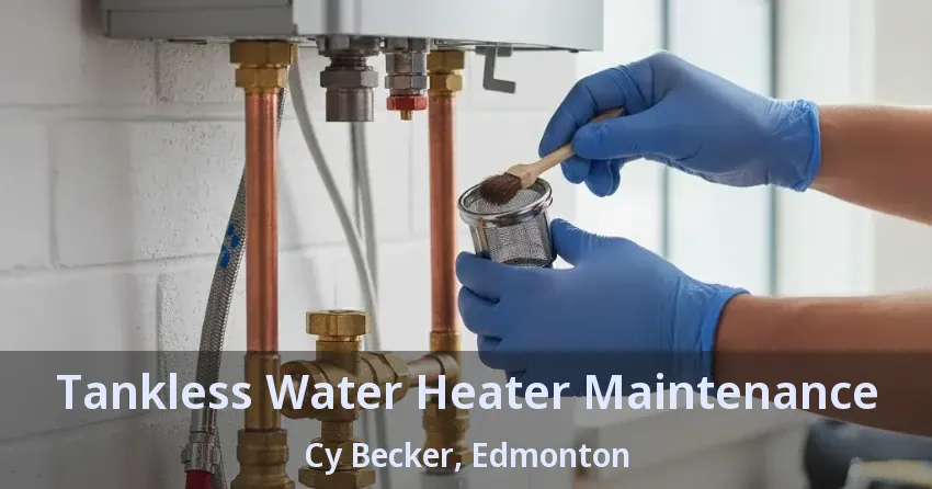 Tankless Water Heater Maintenance Cy Becker, Edmonton - AB Tankless Water Heater Maintenance Cy Becker, Edmonton - AB