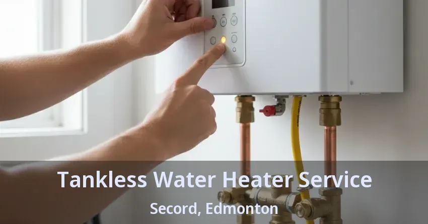 Tankless Water Heater Service Secord, Edmonton - AB Tankless Water Heater Service Secord, Edmonton - AB