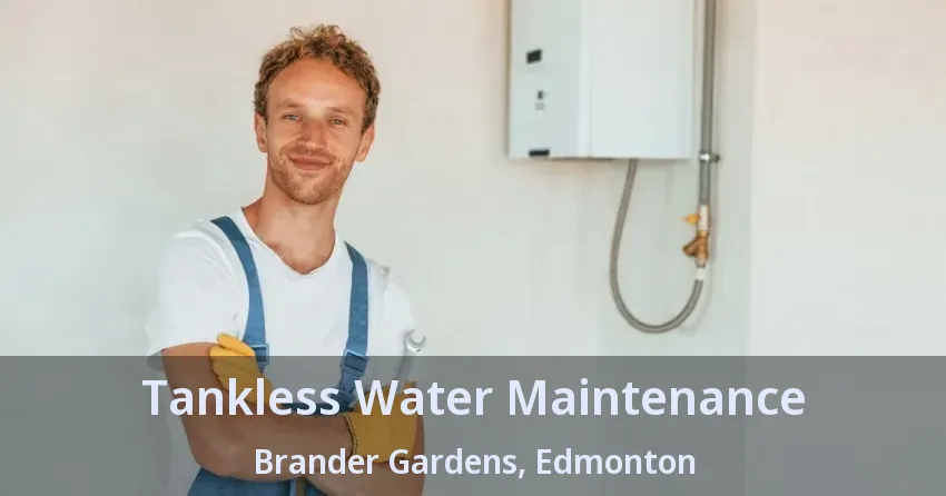 Tankless Water Maintenance Brander Gardens, Edmonton - AB Tankless Water Maintenance Brander Gardens, Edmonton - AB