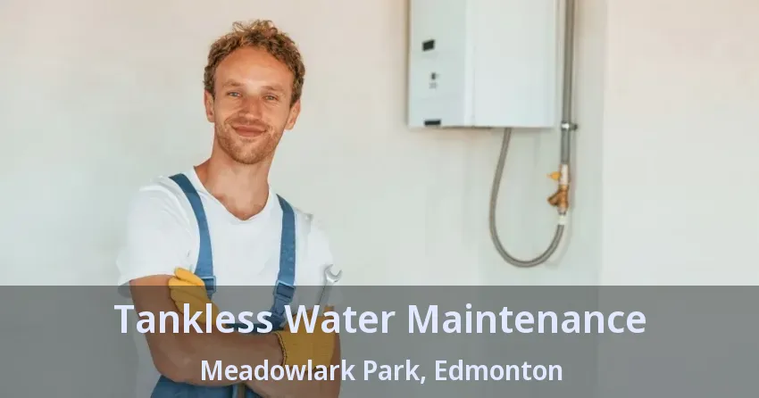 Tankless Water Maintenance Meadowlark Park, Edmonton - AB Tankless Water Maintenance Meadowlark Park, Edmonton - AB