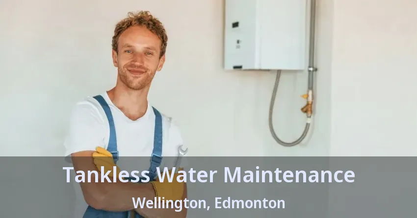 Tankless Water Maintenance Wellington, Edmonton - AB Tankless Water Maintenance Wellington, Edmonton - AB